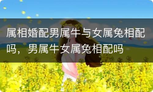 属相婚配男属牛与女属兔相配吗，男属牛女属兔相配吗