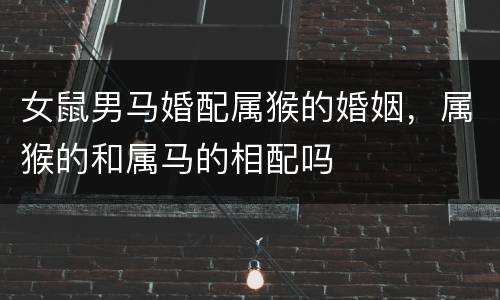 女鼠男马婚配属猴的婚姻，属猴的和属马的相配吗