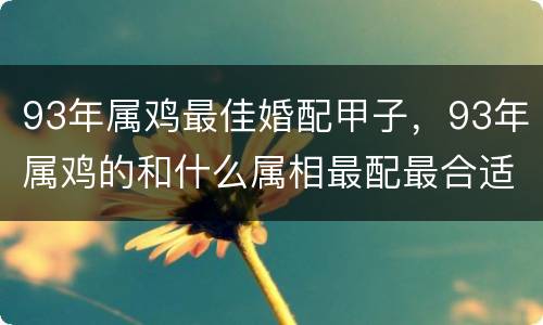 93年属鸡最佳婚配甲子，93年属鸡的和什么属相最配最合适呢