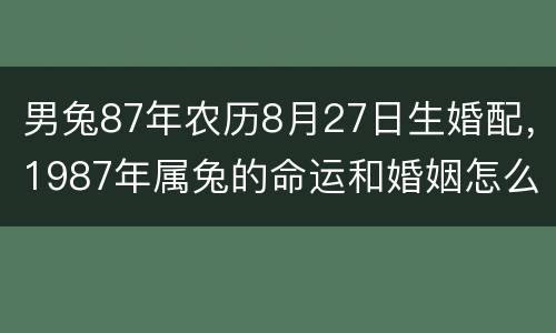 男兔87年农历8月27日生婚配，1987年属兔的命运和婚姻怎么样？