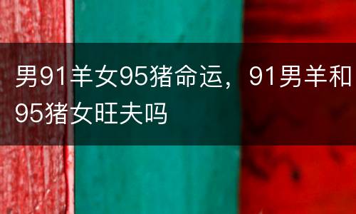 男91羊女95猪命运，91男羊和95猪女旺夫吗