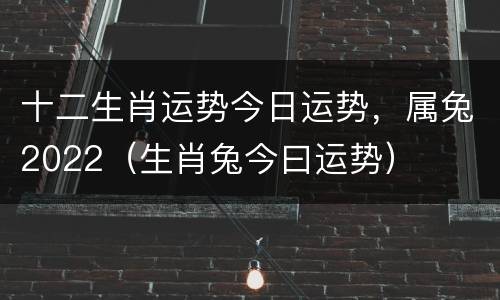 十二生肖运势今日运势，属兔2022（生肖兔今曰运势）