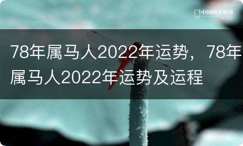78年属马人2022年运势，78年属马人2022年运势及运程