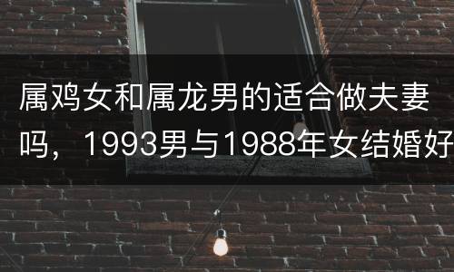 属鸡女和属龙男的适合做夫妻吗，1993男与1988年女结婚好吗
