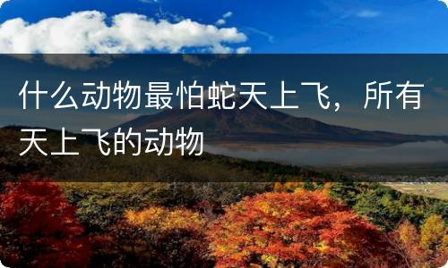 什么动物最怕蛇天上飞，所有天上飞的动物