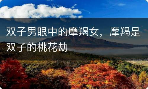 双子男眼中的摩羯女，摩羯是双子的桃花劫