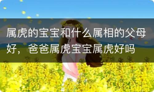 属虎的宝宝和什么属相的父母好，爸爸属虎宝宝属虎好吗