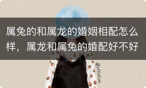 属兔的和属龙的婚姻相配怎么样，属龙和属兔的婚配好不好