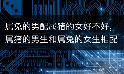 属兔的男配属猪的女好不好，属猪的男生和属兔的女生相配吗