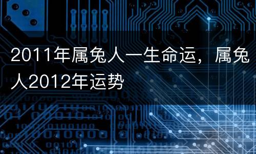 2011年属兔人一生命运，属兔人2012年运势