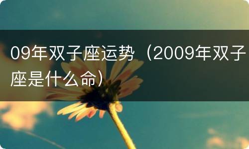 09年双子座运势（2009年双子座是什么命）