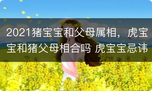 2021猪宝宝和父母属相，虎宝宝和猪父母相合吗 虎宝宝忌讳什