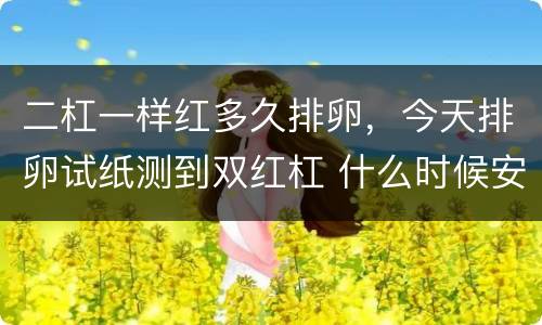 二杠一样红多久排卵，今天排卵试纸测到双红杠 什么时候安排同房