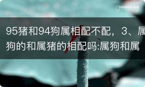 95猪和94狗属相配不配，3、属狗的和属猪的相配吗:属狗和属