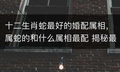十二生肖蛇最好的婚配属相，属蛇的和什么属相最配 揭秘最佳婚配表