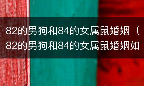 82的男狗和84的女属鼠婚姻（82的男狗和84的女属鼠婚姻如何）