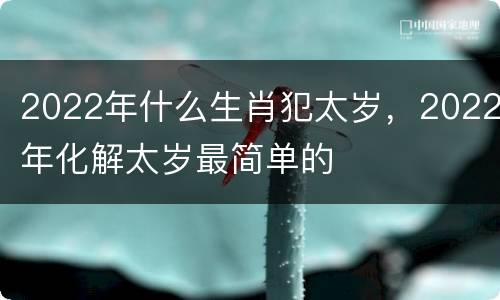2022年什么生肖犯太岁，2022年化解太岁最简单的