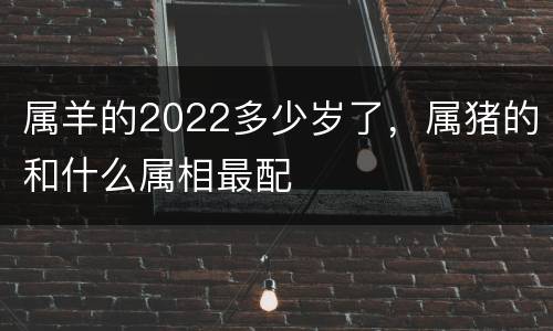 属羊的2022多少岁了，属猪的和什么属相最配