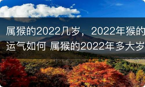 属猴的2022几岁，2022年猴的运气如何 属猴的2022年多大岁数