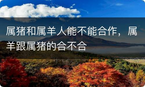 属猪和属羊人能不能合作，属羊跟属猪的合不合