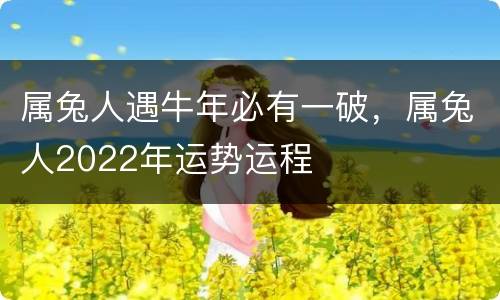 属兔人遇牛年必有一破，属兔人2022年运势运程