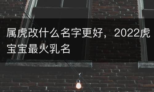 属虎改什么名字更好，2022虎宝宝最火乳名
