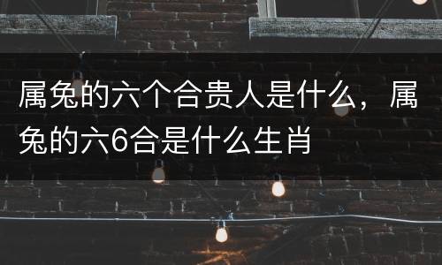 属兔的六个合贵人是什么，属兔的六6合是什么生肖