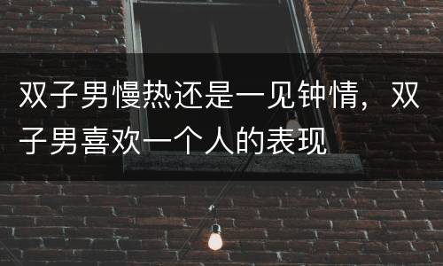 双子男慢热还是一见钟情，双子男喜欢一个人的表现