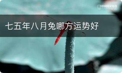 七五年八月兔哪方运势好