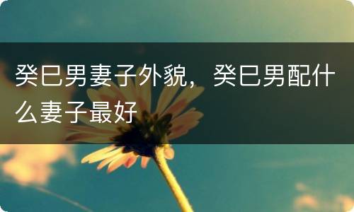 癸巳男妻子外貌，癸巳男配什么妻子最好