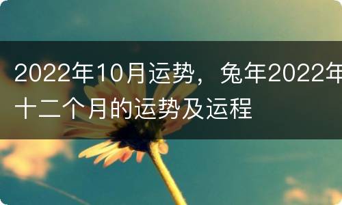2022年10月运势，兔年2022年十二个月的运势及运程