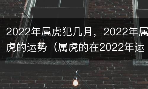 2022年属虎犯几月，2022年属虎的运势（属虎的在2022年运势）