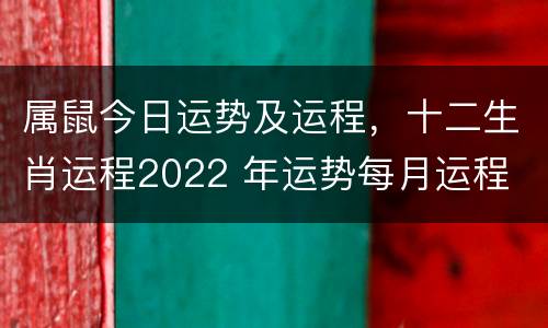 属鼠今日运势及运程，十二生肖运程2022 年运势每月运程