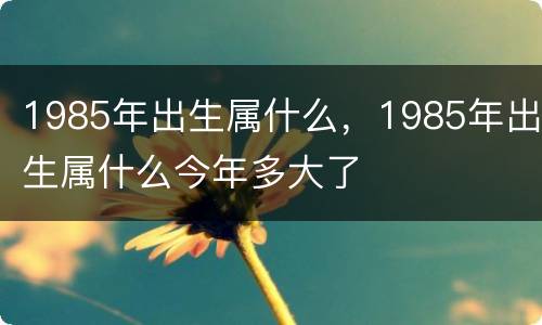 1985年出生属什么，1985年出生属什么今年多大了