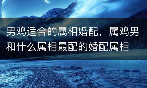 男鸡适合的属相婚配，属鸡男和什么属相最配的婚配属相