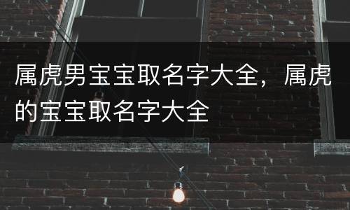 属虎男宝宝取名字大全，属虎的宝宝取名字大全