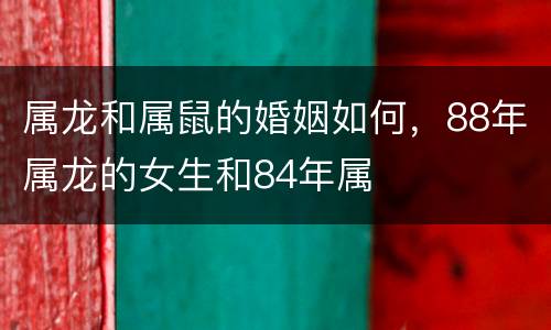 属龙和属鼠的婚姻如何，88年属龙的女生和84年属