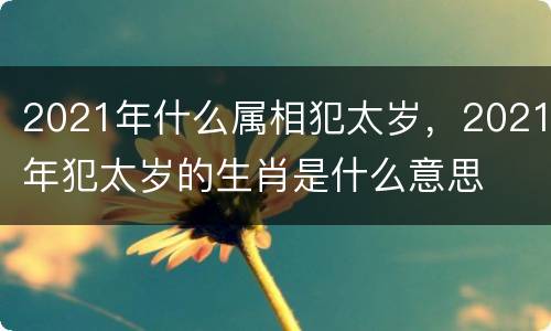 2021年什么属相犯太岁，2021年犯太岁的生肖是什么意思