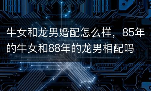 牛女和龙男婚配怎么样，85年的牛女和88年的龙男相配吗