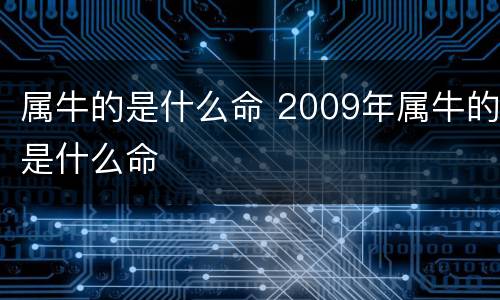 属牛的是什么命 2009年属牛的是什么命