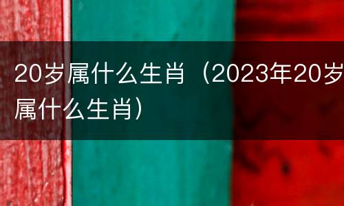20岁属什么生肖（2023年20岁属什么生肖）