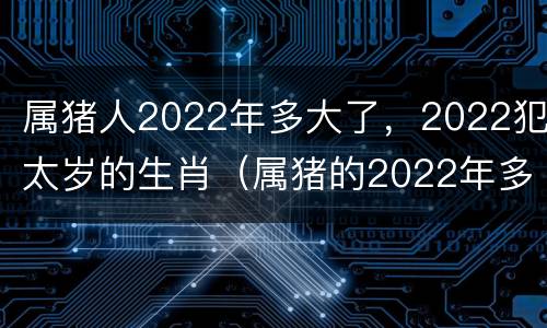 属猪人2022年多大了，2022犯太岁的生肖（属猪的2022年多大岁数）
