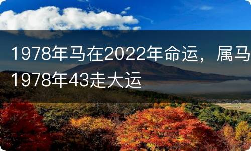 1978年马在2022年命运，属马1978年43走大运