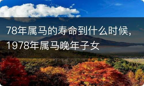 78年属马的寿命到什么时候，1978年属马晚年子女