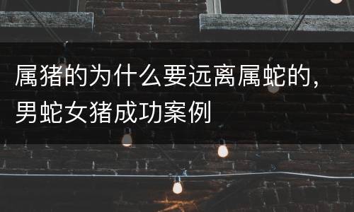 属猪的为什么要远离属蛇的，男蛇女猪成功案例