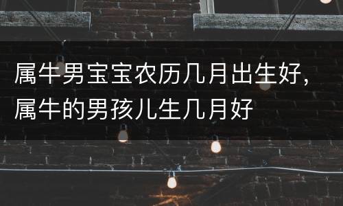 属牛男宝宝农历几月出生好，属牛的男孩儿生几月好