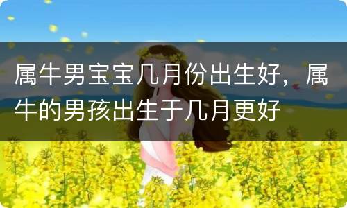 属牛男宝宝几月份出生好，属牛的男孩出生于几月更好