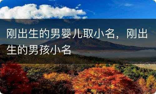 刚出生的男婴儿取小名，刚出生的男孩小名