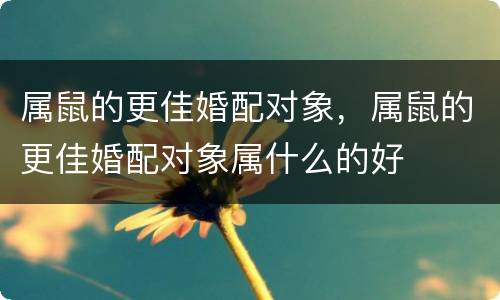属鼠的更佳婚配对象，属鼠的更佳婚配对象属什么的好