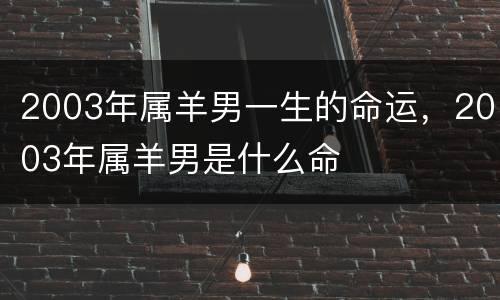 2003年属羊男一生的命运，2003年属羊男是什么命